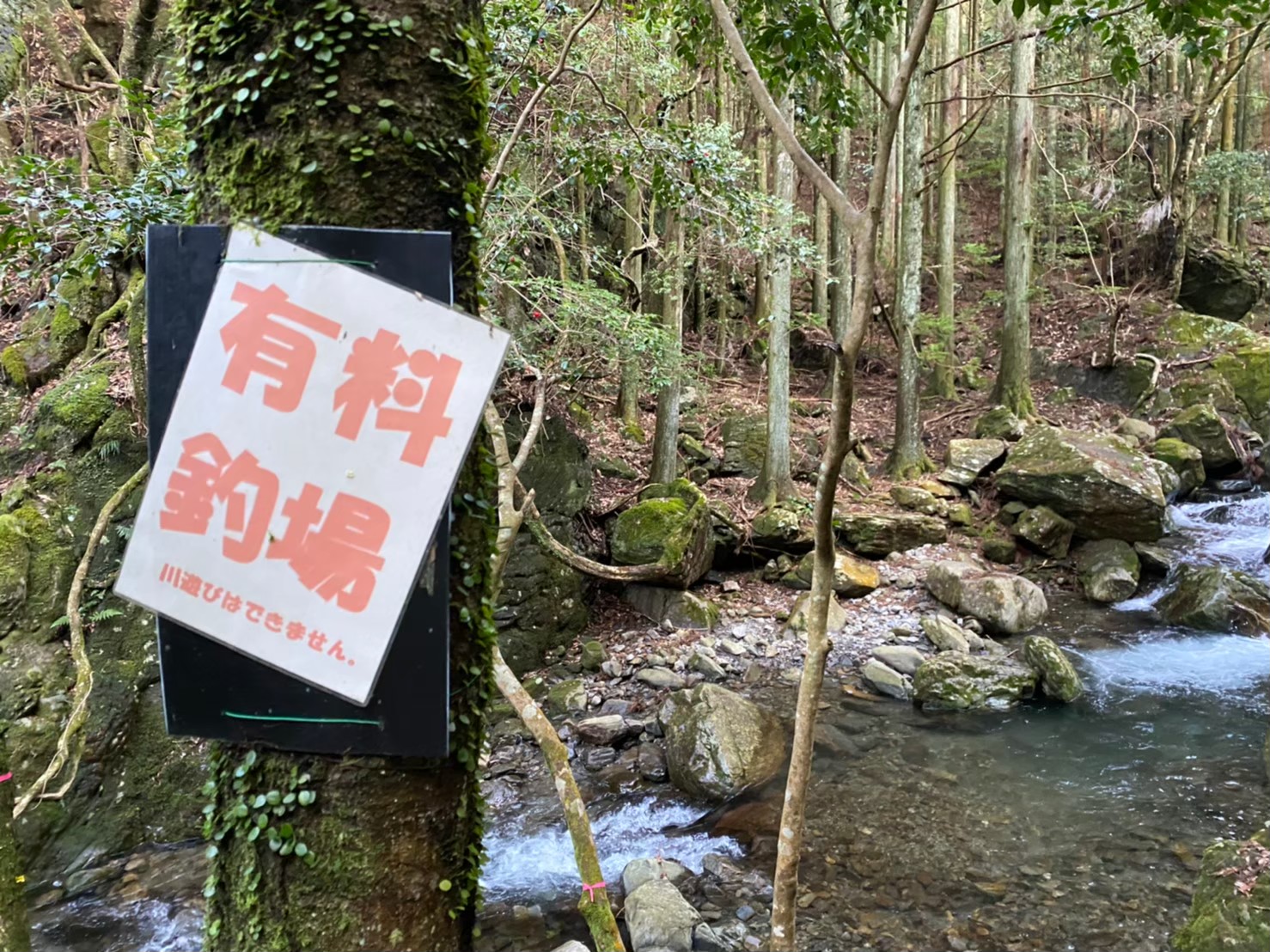 愛知県の穴場キャンプ場 名古屋近郊 くらがり渓谷キャンプ場 の情報まとめ 駐車場 トイレ 中部キャンプwalker