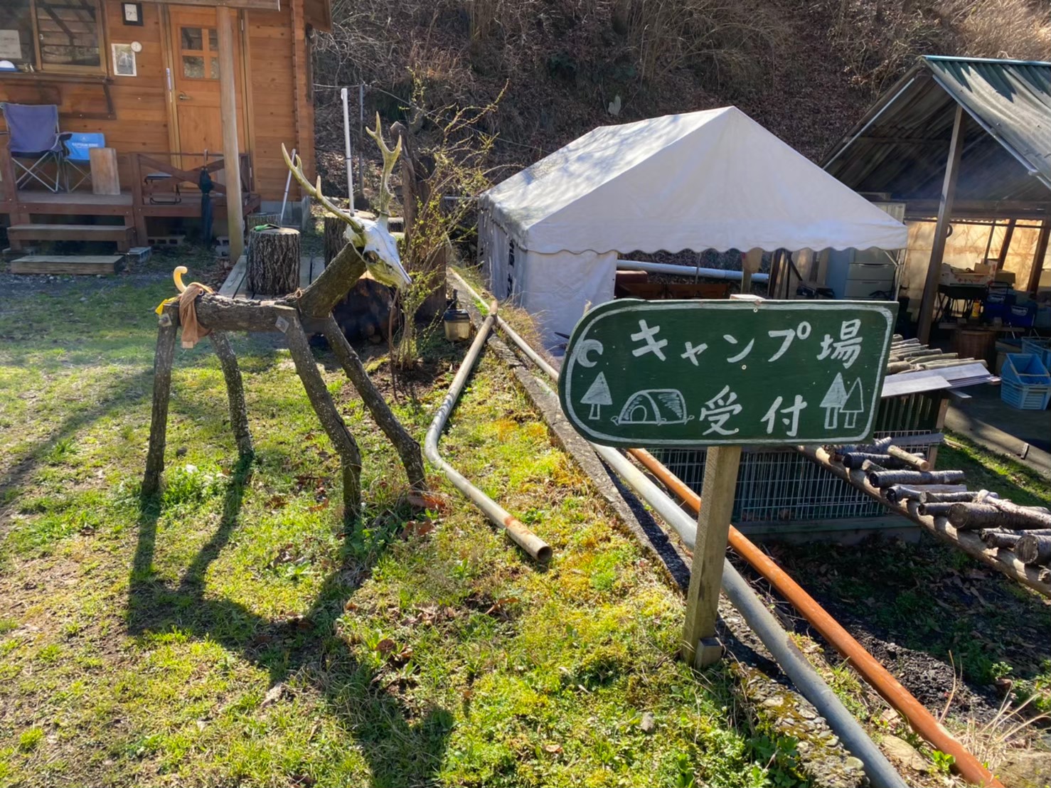 静岡県 伊豆 ドッグラン付き 伊豆自然村キャンプフィールド の情報まとめ 中部キャンプwalker