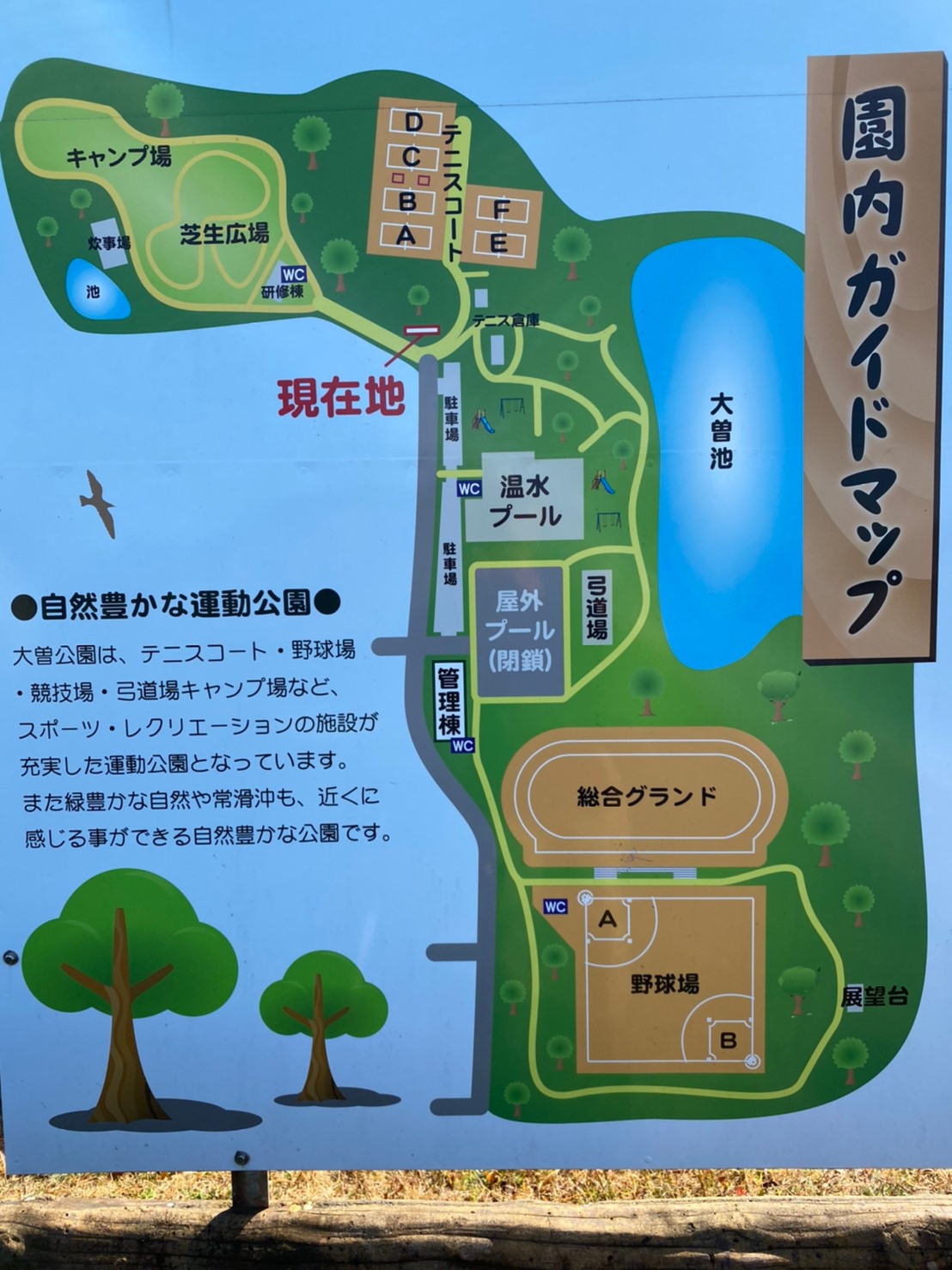 【静かでお手頃！愛知県】『大曽公園キャンプ場』の情報まとめ（駐車場・トイレ）